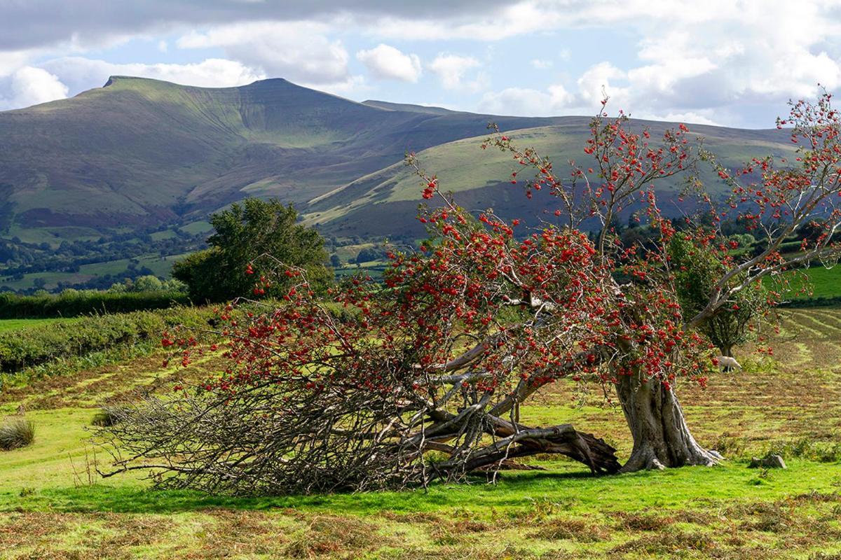 Picturesque 2 Bedroom Miners Cottage Near Bike Park Wales & Brecon Beacons เมอเทอร์ทิดฟิล ภายนอก รูปภาพ